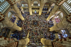 Salon.Photo Gold Medal