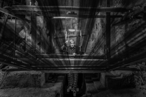 Salon.Photo Gold Medal