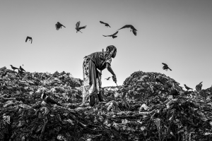 Salon.Photo Gold Medal